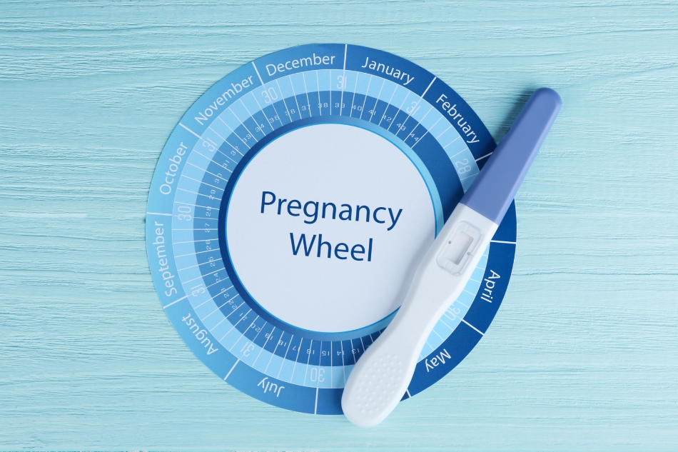 Regolo Ostetrico Online: calcola le settimane di gravidanza