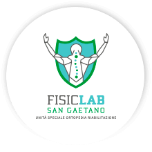Logo FisicLab