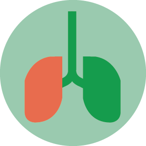 Spirometria con Broncodilatazione