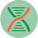 Test Harmony (DNA Fetale)