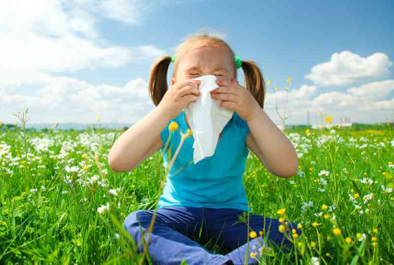 visita allergologica pediatrica vicenza